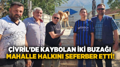 Denizli’nin Çivril ilçesinde kaybolan iki buzağı, mahalle sakinleri ve duyarlı