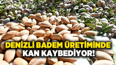 Denizli’nin badem üretimiyle ön plana çıkan merkezi Acıpayam’da sezonun ilk