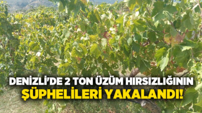 Buldan’da geçtiğimiz günlerde bir üzüm bağından yaklaşık 2 ton üzüm