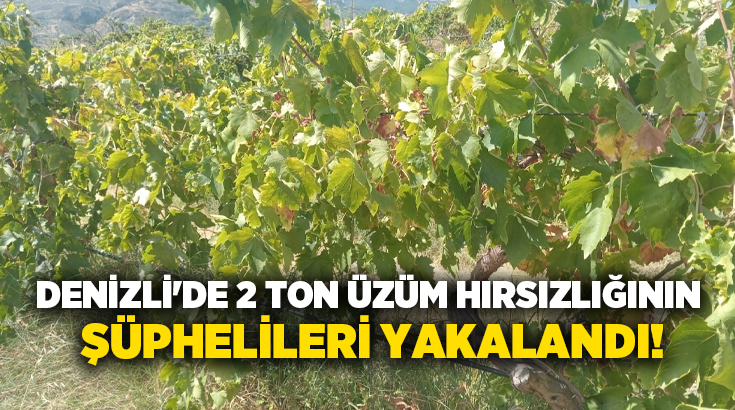 Buldan’da geçtiğimiz günlerde bir üzüm bağından yaklaşık 2 ton üzüm