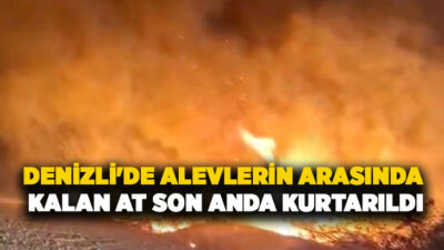 Denizli’nin Çivril ilçesine bağlı Işıklı Mahallesi Arkbaşı mevkiinde çıkan yangında