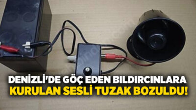 Denizli’nin Buldan ilçesinde, göç eden bıldırcınları ses düzeneği ile yere