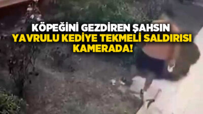 İzmir'in Bayraklı ilçesinde bir apartmandan çıkan şahıs, bina önünde yavrularıyla