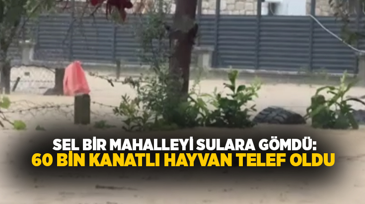 Sakarya genelinde hayatı felç eden kuvvetli sağanak yağış ve sel,