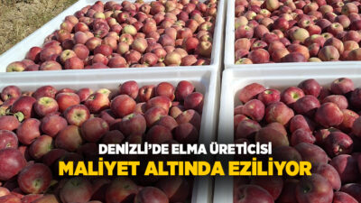 Denizli'nin Çivril ilçesi Işıklı Mahallesi'nde elma üretimi yapan çiftçi ve