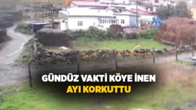 Ardahan merkeze bağlı Ölçek köyünde gündüz saatlerinde köyün içinde dolaşarak