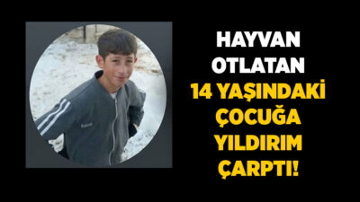Özalp ilçesinde hayvan otlatmak için dağlık alanda bulunan 14 yaşındaki