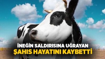 Konya’nın Ereğli ilçesinde ahırda ineğin saldırısına uğrayan şahıs, kaldırıldığı hastanede