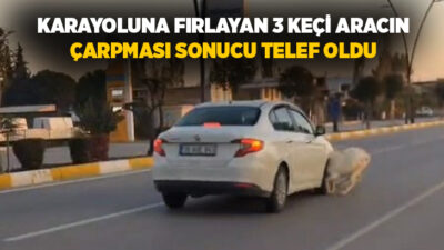 Manisa’nın Akhisar ilçesinde karayolunda seyir halindeki otomobilin yola çıkan koyun