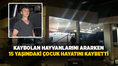 Düzce’nin Yığılca ilçesinde kaybolan hayvanlarını bulmak için ormana giden iki