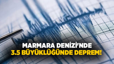 Marmara Denizi'nin Yalova açıklarında saat 3.5 büyüklüğünde deprem meydana geldi.