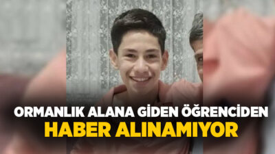 Karabük’ün Yenice ilçesinde okuldan çıktıktan sonra ormanlık alana giden ve