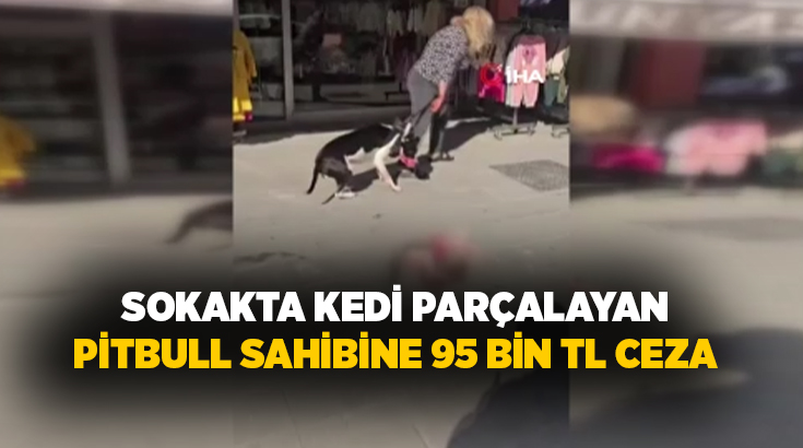 İstanbul’un Esenyurt ilçesinde bir kadının ağızlıksız şekilde gezdirdiği yasaklı ırk