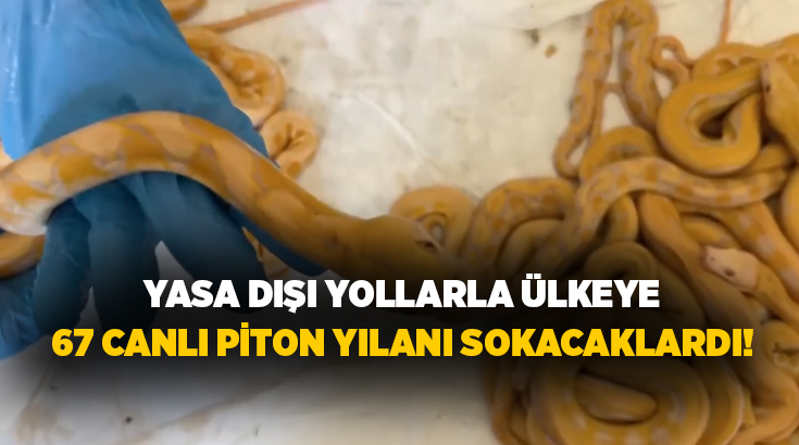 Kapıkule Gümrük Kapısı’nda Türkiye’ye yasa dışı yollarla getirilmeye çalışılan 67