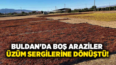 Denizli’nin Buldan ilçesinde Sultaniye çekirdeksiz üzümler, yaş üzümün bu sezon