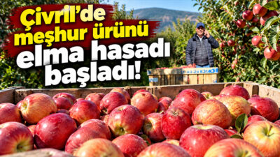 Denizli’nin Çivril ilçesinde sofralık elma hasadı başladı. Türkiye’nin önemli elma