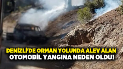 Denizli’nin Acıpayam ilçesinde ormanlık alanda çıkan araç yangını, orman ve