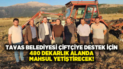 Tavas Belediyesi, 480 dekarlık üretim alanında, üreticilere destek olmak amacıyla